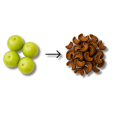 dried amla process