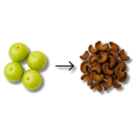 dried amla process