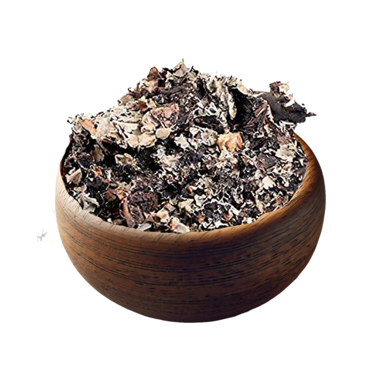 kalapasiii
